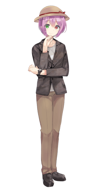 developer